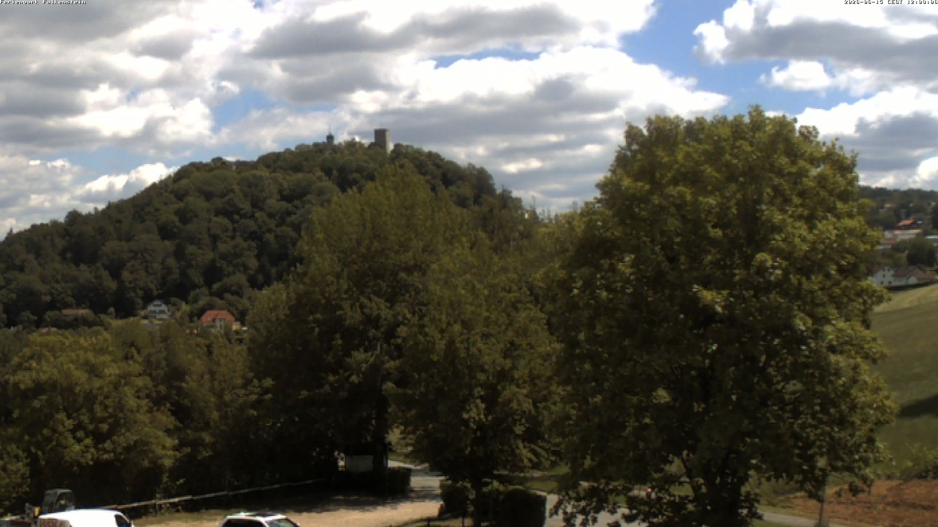 Aktuelles Bild der Webcam im Ferienpark Falkenstein im Bayerischen Wald