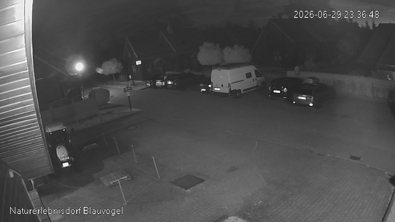 Aktuelles Bild der Webcam im Naturerlebnisdorf Blauvogel in Hasselfelde im Harz